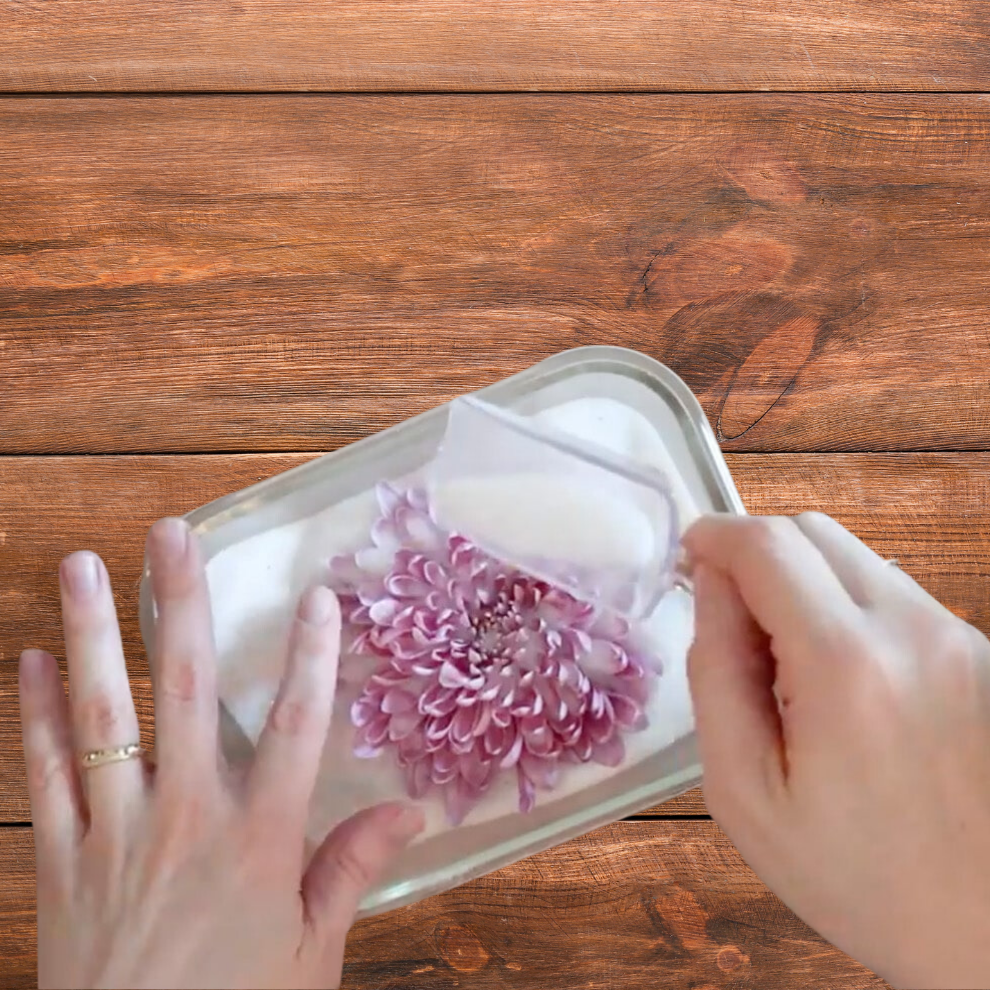 Silica Gel Powder - 250 Gm