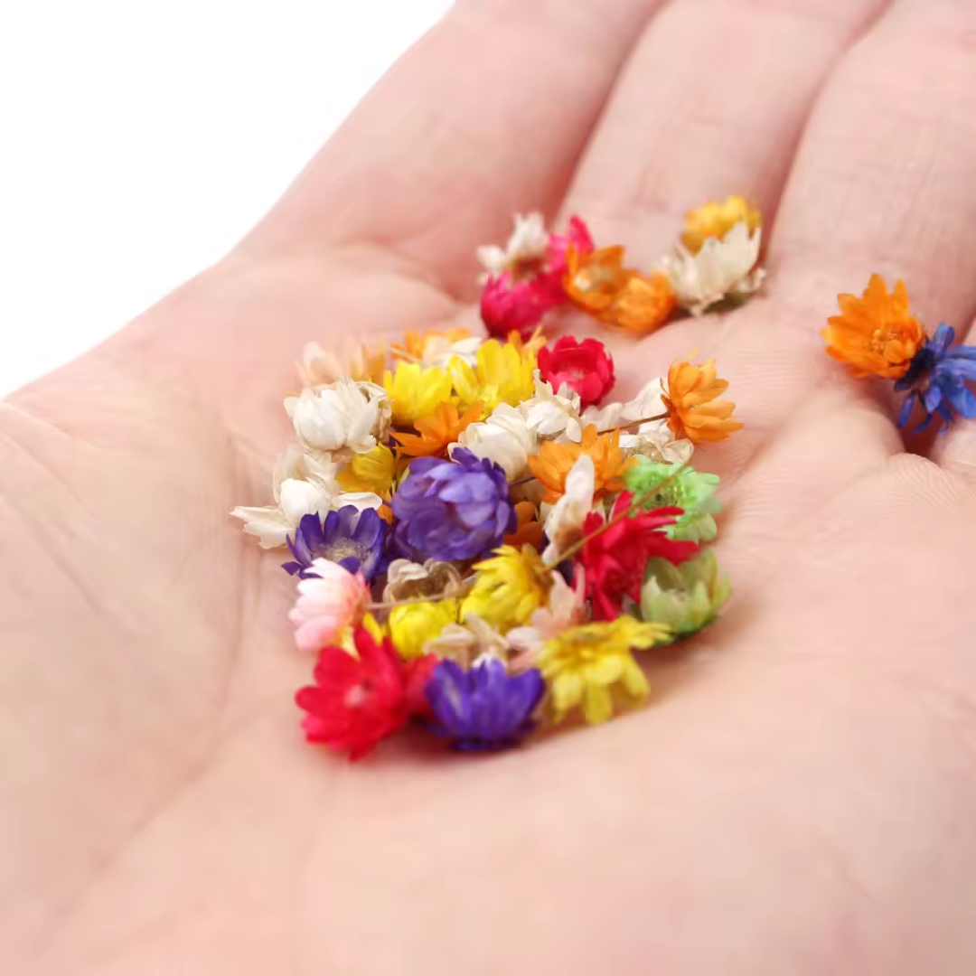 Small Dried Flower for Resin Art