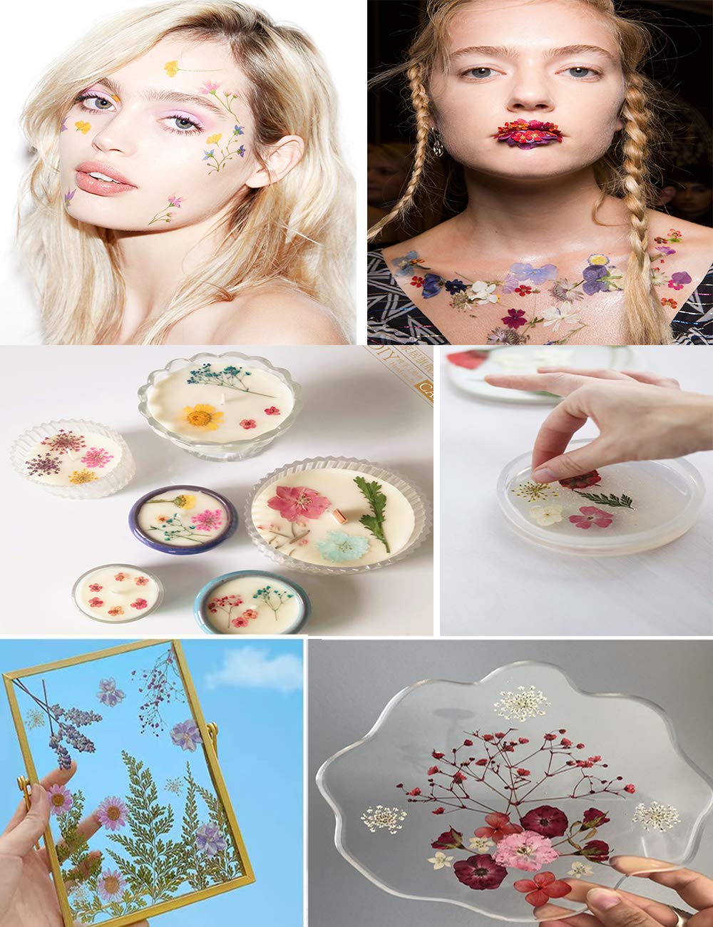 Dried Flowers for Resin Art