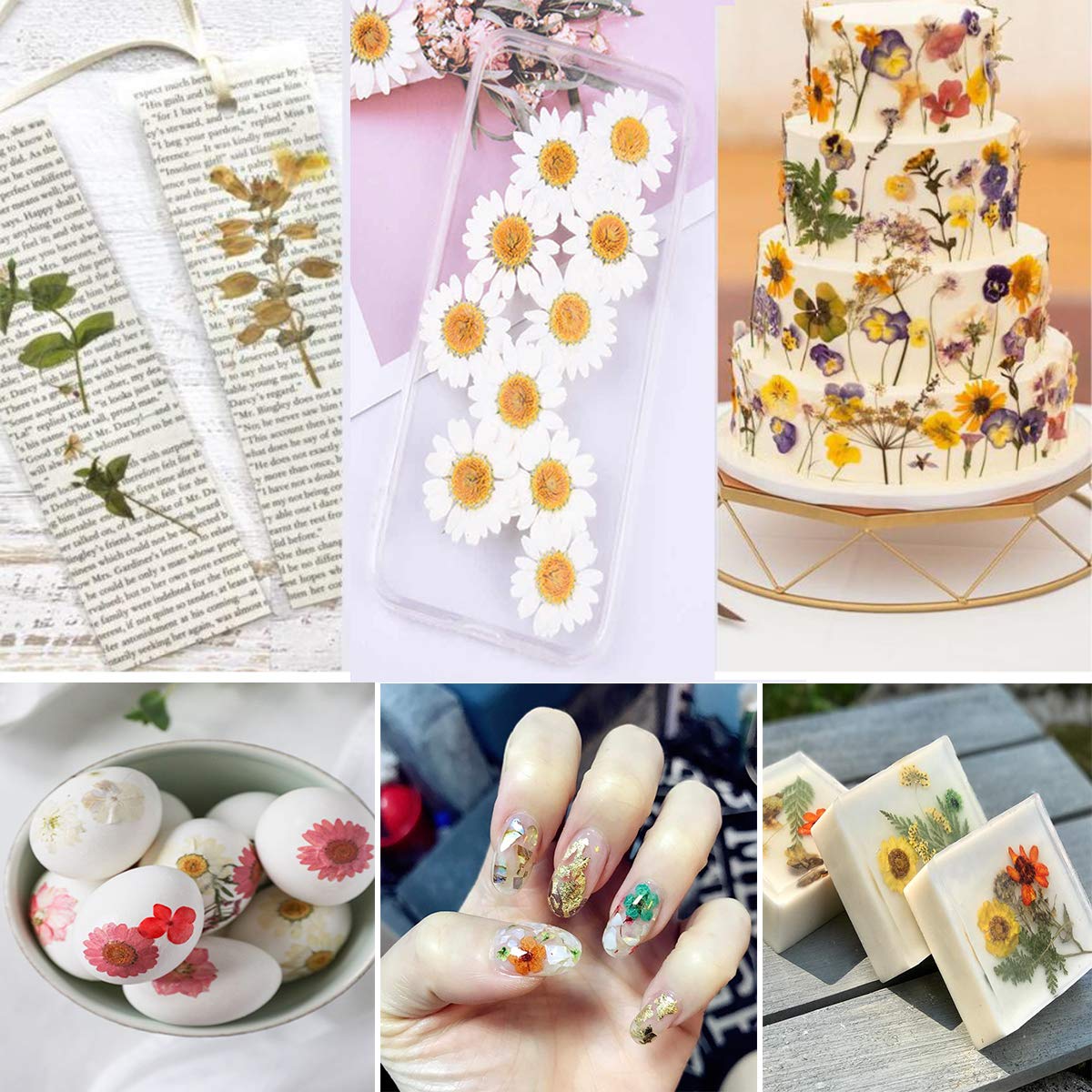 Dried Flowers for Resin Art
