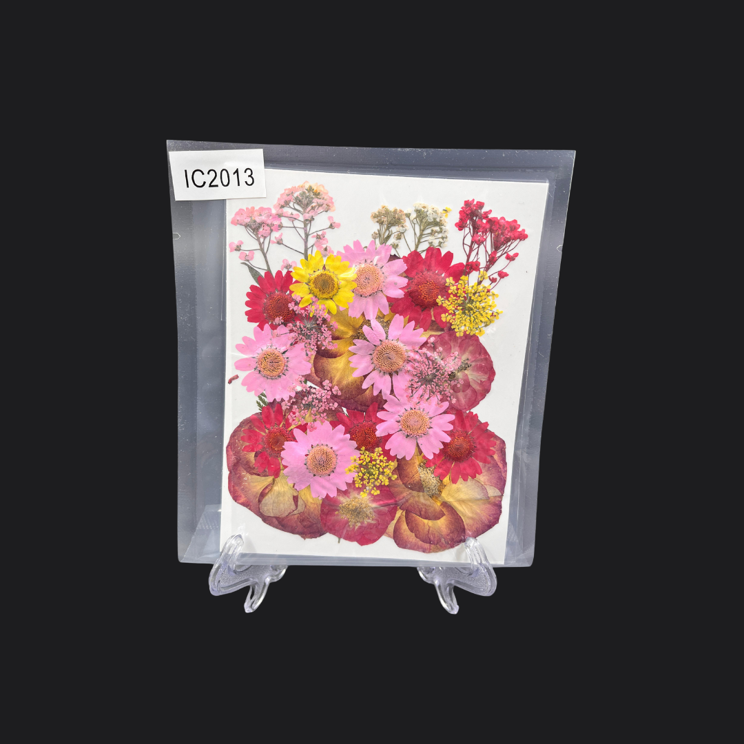 Real Dried Pressed Flower - Multicolor