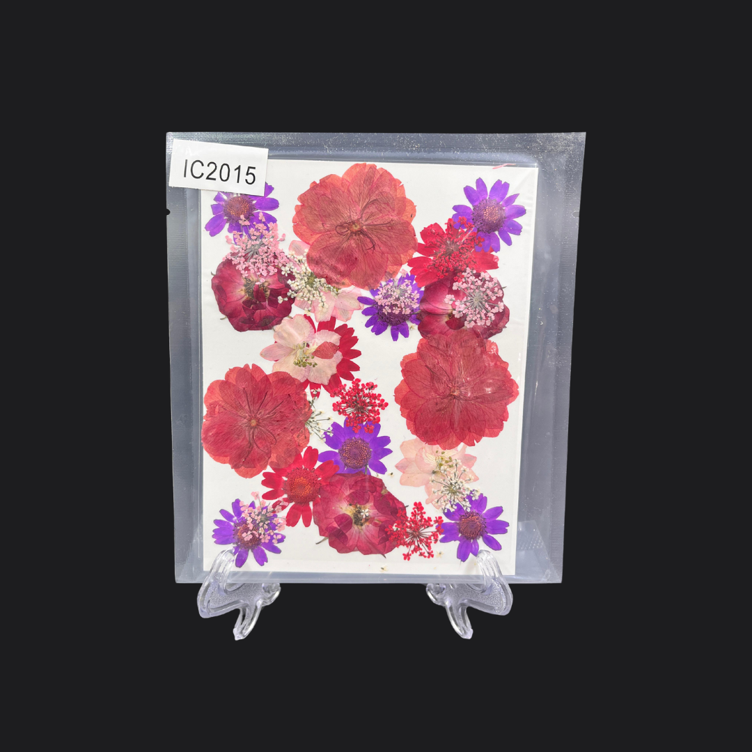 Real Dried Pressed Flower - Multicolor