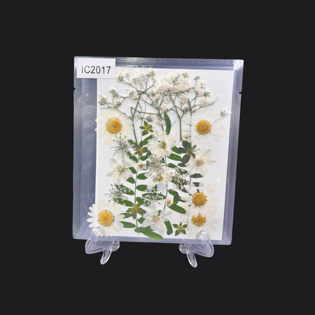 Real Dried Pressed Flower - Multicolor