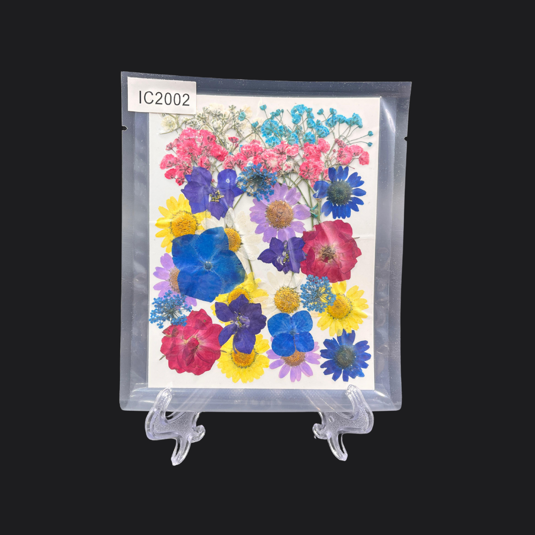 Real Dried Pressed Flower - Multicolor
