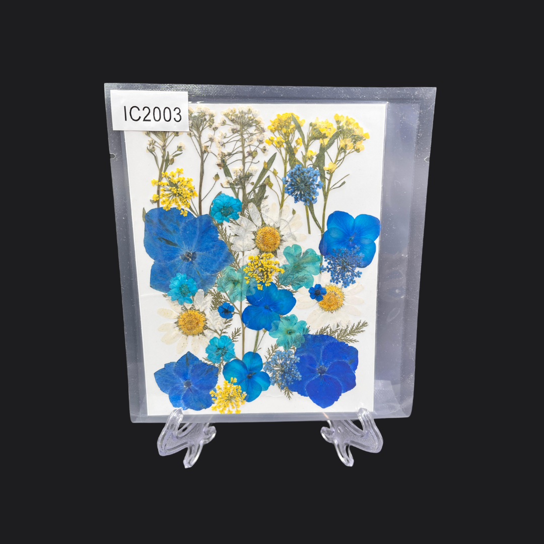 Real Dried Pressed Flower - Multicolor