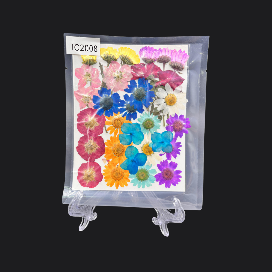 Real Dried Pressed Flower - Multicolor