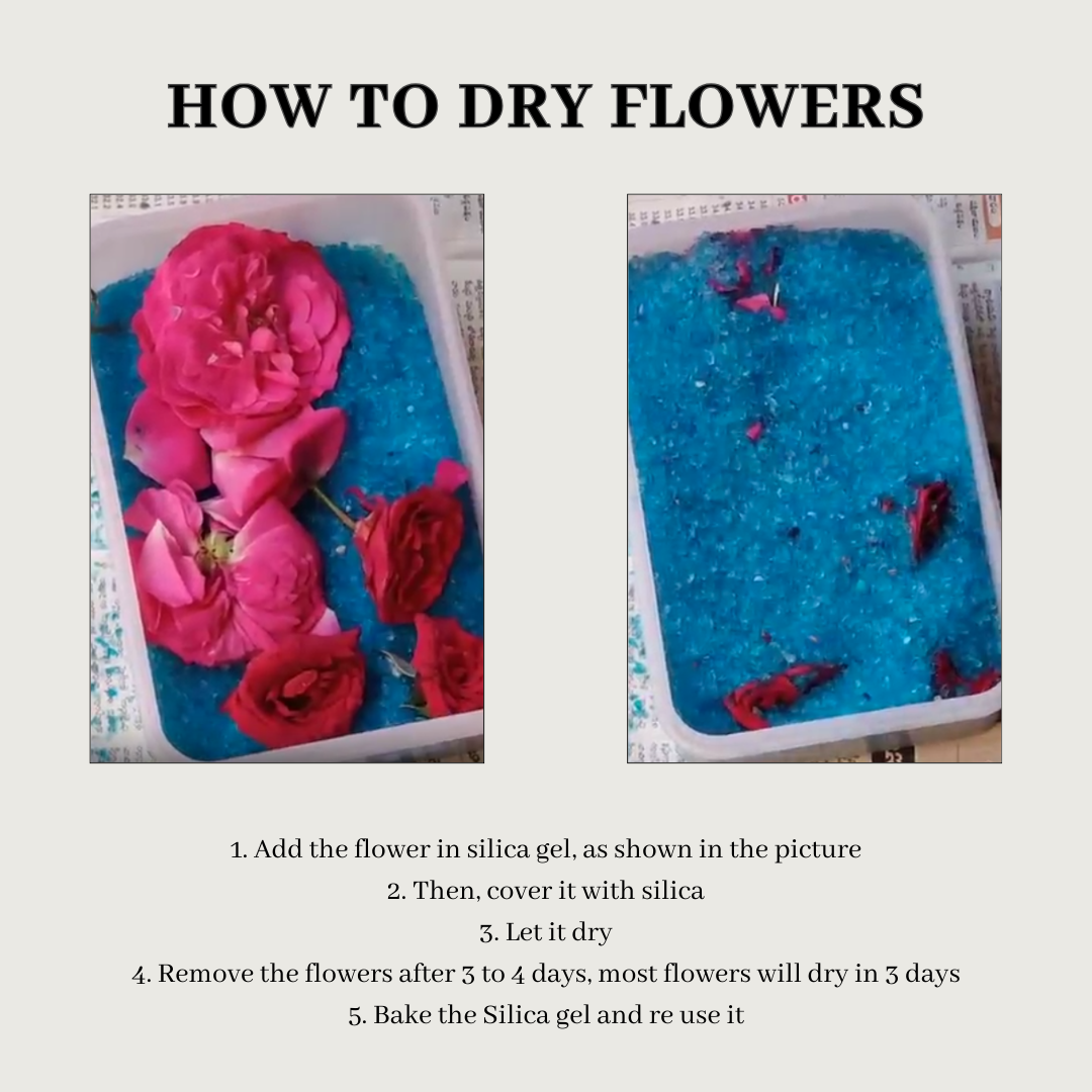 Blue Silica Gel for Drying Flowers