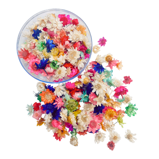 Small Dried Flower for Resin Art