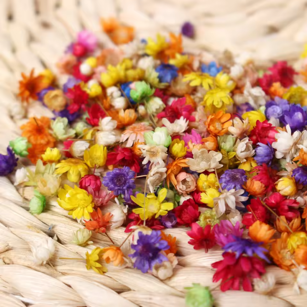 Small Dried Flower for Resin Art