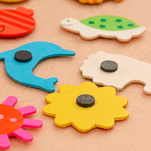 Multicolor Wooden Fridge Magnets Set Nature Design Magnet for Kids
