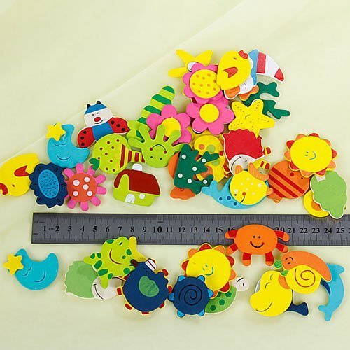 Multicolor Wooden Fridge Magnets Set Nature Design Magnet for Kids