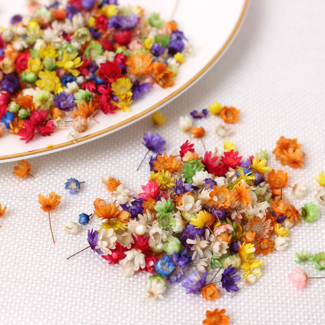 Small Dried Flower for Resin Art