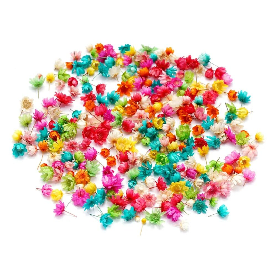 Small Dried Flower for Resin Art