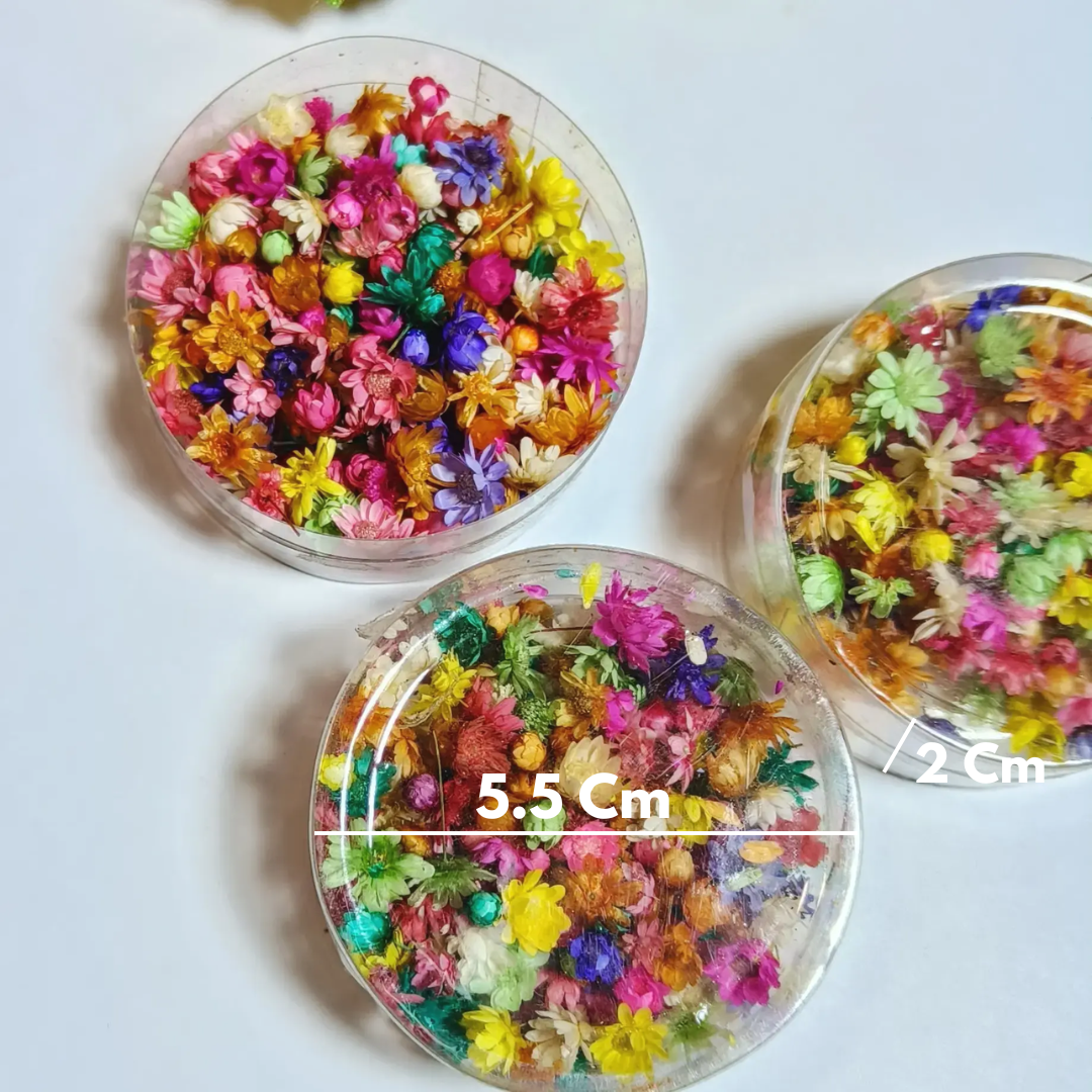 Small Dried Flower for Resin Art