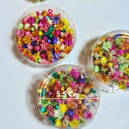 Small Dried Flower for Resin Art
