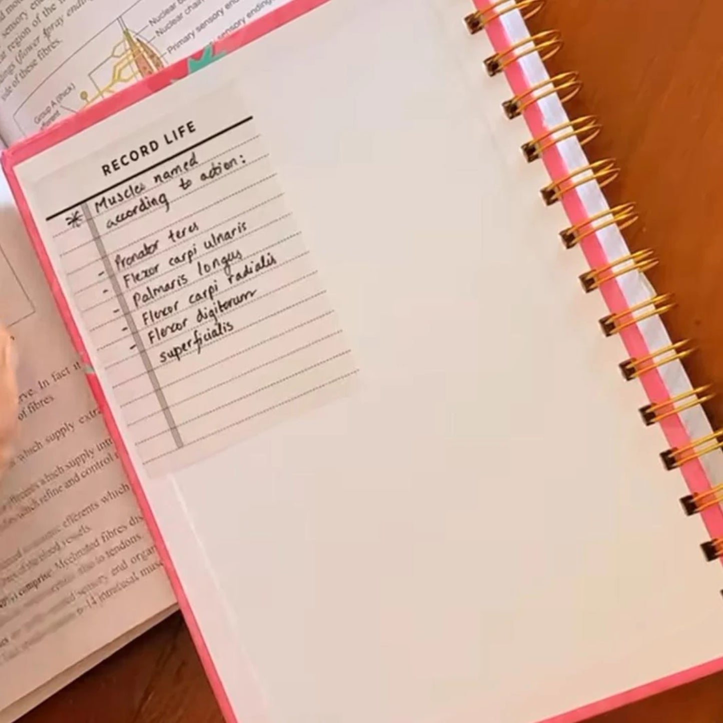 Transparent Sticky Notes Printed Clear Sticky Notes Pad