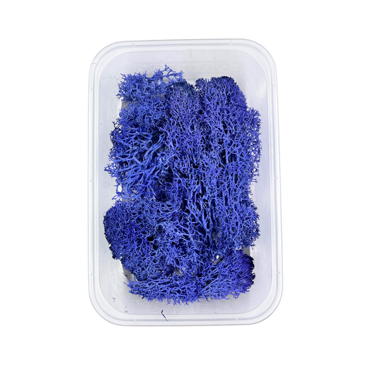Reindeer Grass Moss