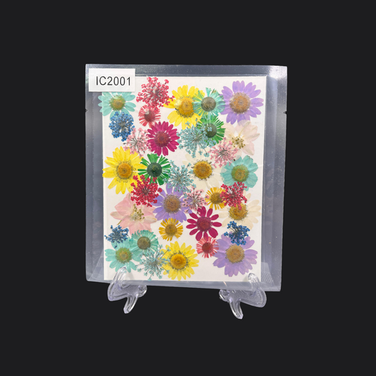 Real Dried Pressed Flower - Multicolor
