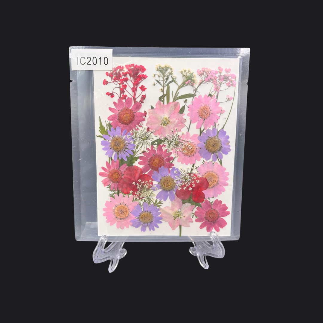 Real Dried Pressed Flower - Multicolor