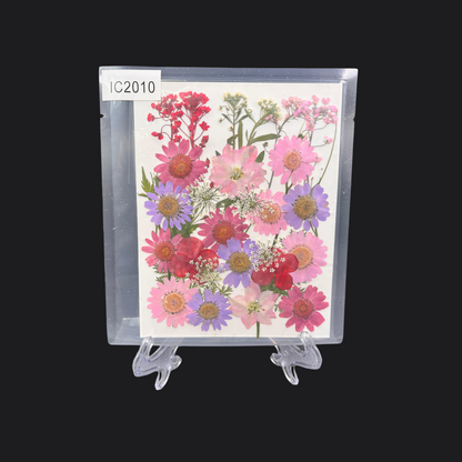 Real Dried Pressed Flower - Multicolor