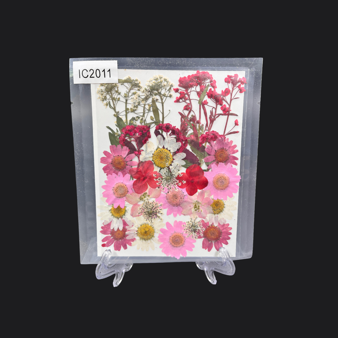 Real Dried Pressed Flower - Multicolor