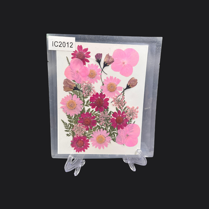 Real Dried Pressed Flower - Multicolor