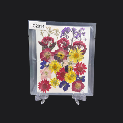 Real Dried Pressed Flower - Multicolor