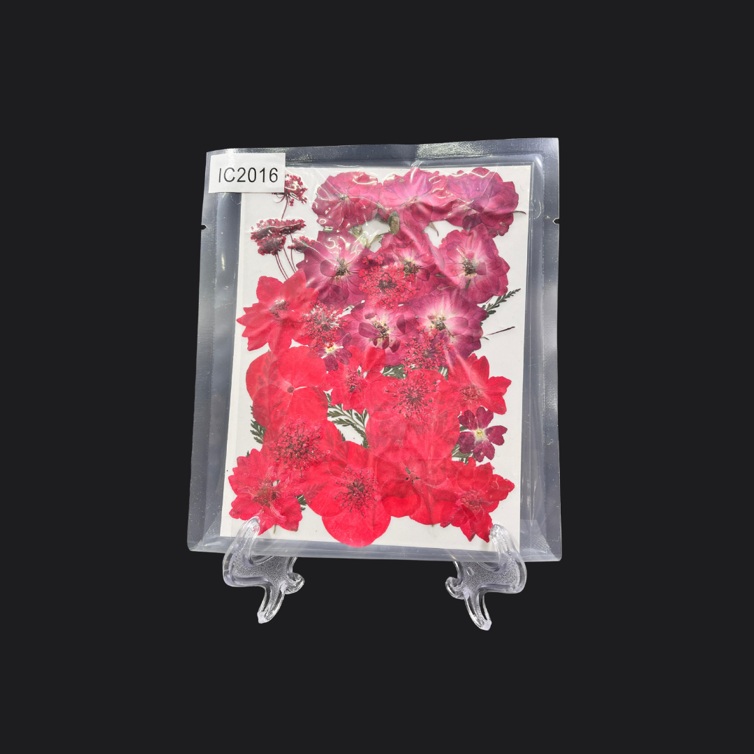 Real Dried Pressed Flower - Multicolor