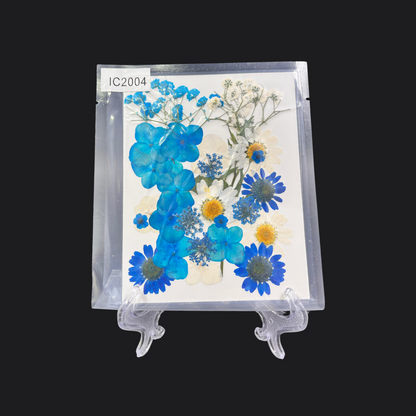 Real Dried Pressed Flower - Multicolor