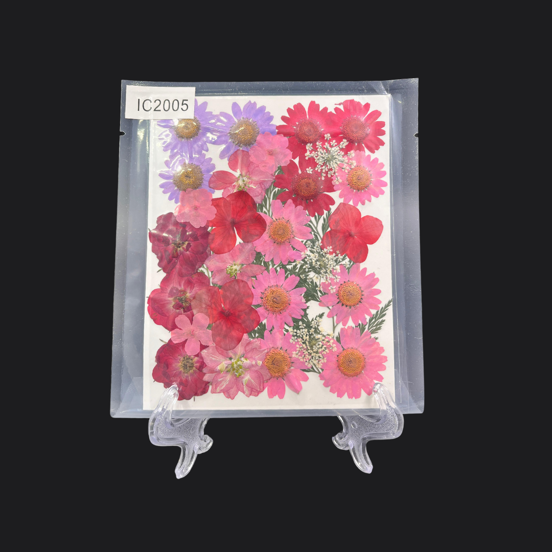 Real Dried Pressed Flower - Multicolor