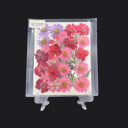 Real Dried Pressed Flower - Multicolor