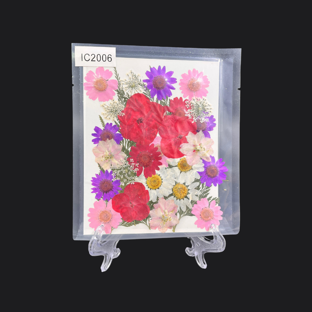 Real Dried Pressed Flower - Multicolor