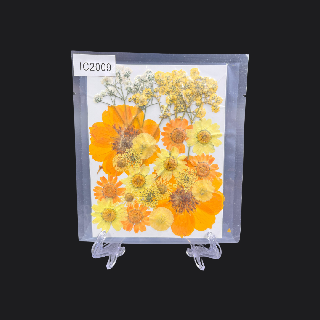 Real Dried Pressed Flower - Multicolor