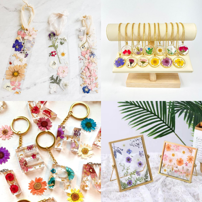 Real Dried Pressed Flower - Multicolor