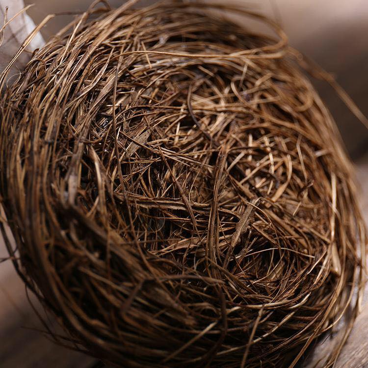 Artificial Foam Mini Bird Nest with Egg